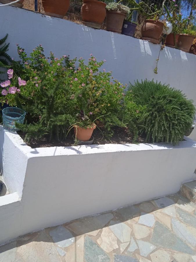 To Limanaki Apartamento Finikounta Exterior foto