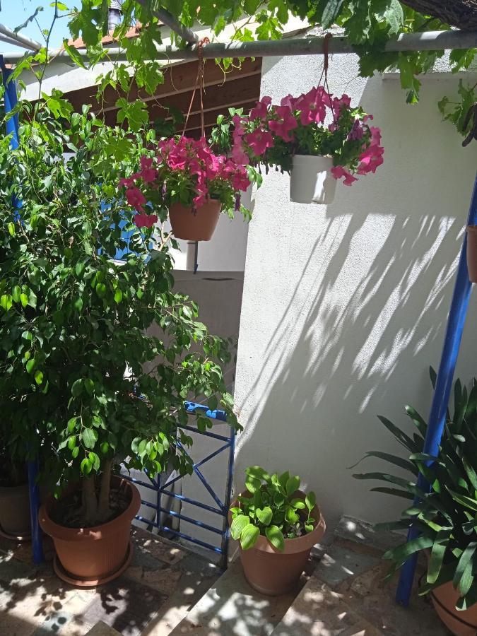 To Limanaki Apartamento Finikounta Exterior foto